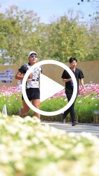 BIB:  <button type="button" onclick="openModal(27587994)" class="btn btn-primary btn-sm float-right" data-toggle="modal" data-target=".modal-high-quality">
                <i class="fa fa-download"></i> Download
                </button>